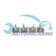 spazzole carbonio motorino avviamento