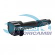 bobina accensione,INDUTTORE ACCENSIONE,MODULO ACCENSIONE