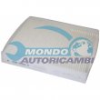 filtro abitacolo