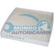 filtro abitacolo