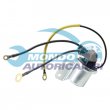 elettromagnete zm