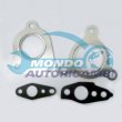 guarnizione per turbocompressore