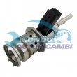 sistema adblue,DSIPOSITIVO CONTROLLO EMISSIONE SCARICO,GRUPPO EGR,VALVOLA RICIRCOLAZIONE GAS,VALVOLA RICIRCOLO GAS SCARICO