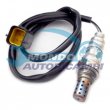 sonda lambda,DSIPOSITIVO CONTROLLO EMISSIONE SCARICO,GRUPPO EGR,VALVOLA RICIRCOLAZIONE GAS,VALVOLA RICIRCOLO GAS SCARICO