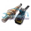 sonda lambda,DSIPOSITIVO CONTROLLO EMISSIONE SCARICO,GRUPPO EGR,VALVOLA RICIRCOLAZIONE GAS,VALVOLA RICIRCOLO GAS SCARICO