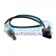 sonda lambda,DSIPOSITIVO CONTROLLO EMISSIONE SCARICO,GRUPPO EGR,VALVOLA RICIRCOLAZIONE GAS,VALVOLA RICIRCOLO GAS SCARICO