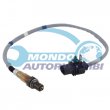 sonda lambda,DSIPOSITIVO CONTROLLO EMISSIONE SCARICO,GRUPPO EGR,VALVOLA RICIRCOLAZIONE GAS,VALVOLA RICIRCOLO GAS SCARICO