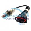 sonda lambda,DSIPOSITIVO CONTROLLO EMISSIONE SCARICO,GRUPPO EGR,VALVOLA RICIRCOLAZIONE GAS,VALVOLA RICIRCOLO GAS SCARICO