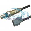 sonda lambda,DSIPOSITIVO CONTROLLO EMISSIONE SCARICO,GRUPPO EGR,VALVOLA RICIRCOLAZIONE GAS,VALVOLA RICIRCOLO GAS SCARICO