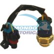 termointerrutore