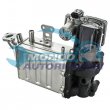 valvola egr,DSIPOSITIVO CONTROLLO EMISSIONE SCARICO,GRUPPO EGR,VALVOLA RICIRCOLAZIONE GAS,VALVOLA RICIRCOLO GAS SCARICO