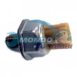 parte diesel,TERMOINTERRUTTORE