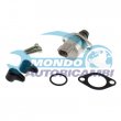 parte diesel,TERMOINTERRUTTORE