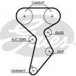 cinghia distribuzione