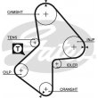 cinghia distribuzione