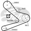 cinghia distribuzione