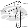 cinghia distribuzione