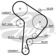 cinghia distribuzione