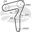 cinghia distribuzione