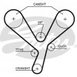 cinghia distribuzione