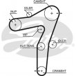 cinghia distribuzione