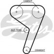 cinghia distribuzione