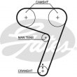 cinghia servizi ausiliari