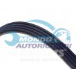 cinghia servizi ausiliari