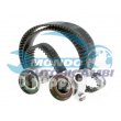 kit distribuzione