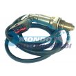 sonda lambda,DSIPOSITIVO CONTROLLO EMISSIONE SCARICO,GRUPPO EGR,VALVOLA RICIRCOLAZIONE GAS,VALVOLA RICIRCOLO GAS SCARICO