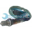 sonda lambda,DSIPOSITIVO CONTROLLO EMISSIONE SCARICO,GRUPPO EGR,VALVOLA RICIRCOLAZIONE GAS,VALVOLA RICIRCOLO GAS SCARICO