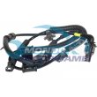 sensore abs,SENSORE CIRCUITO FRENANTE,SENSORE COMANDO ABS