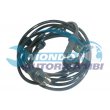 sensore abs,SENSORE CIRCUITO FRENANTE,SENSORE COMANDO ABS