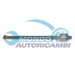 snodo assiale