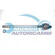 snodo assiale