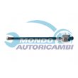snodo assiale