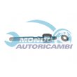 snodo assiale
