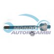 snodo assiale