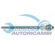snodo assiale