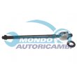snodo assiale