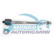 snodo assiale