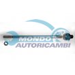 snodo assiale