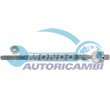 snodo assiale