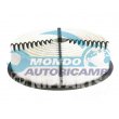snodo assiale