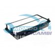 snodo assiale