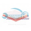 snodo assiale