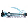 braccio oscillante