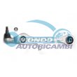 braccio oscillante