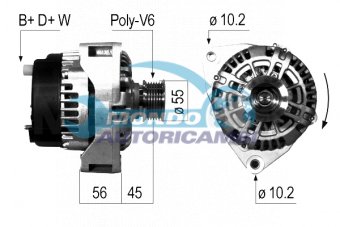 ALTERNATORE
