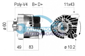 ALTERNATORE